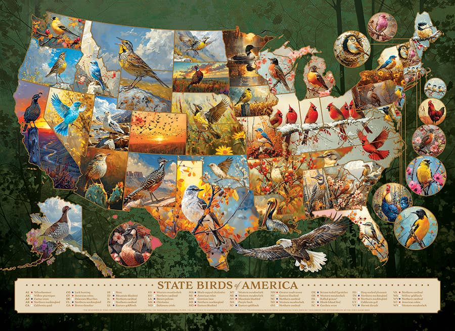 Puzzle - State Birds of America (1000-Piece)