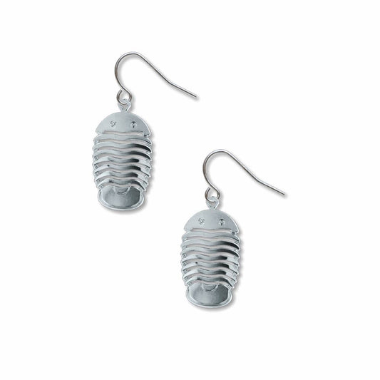 Boxed Jewelry - Trilobite Earrings