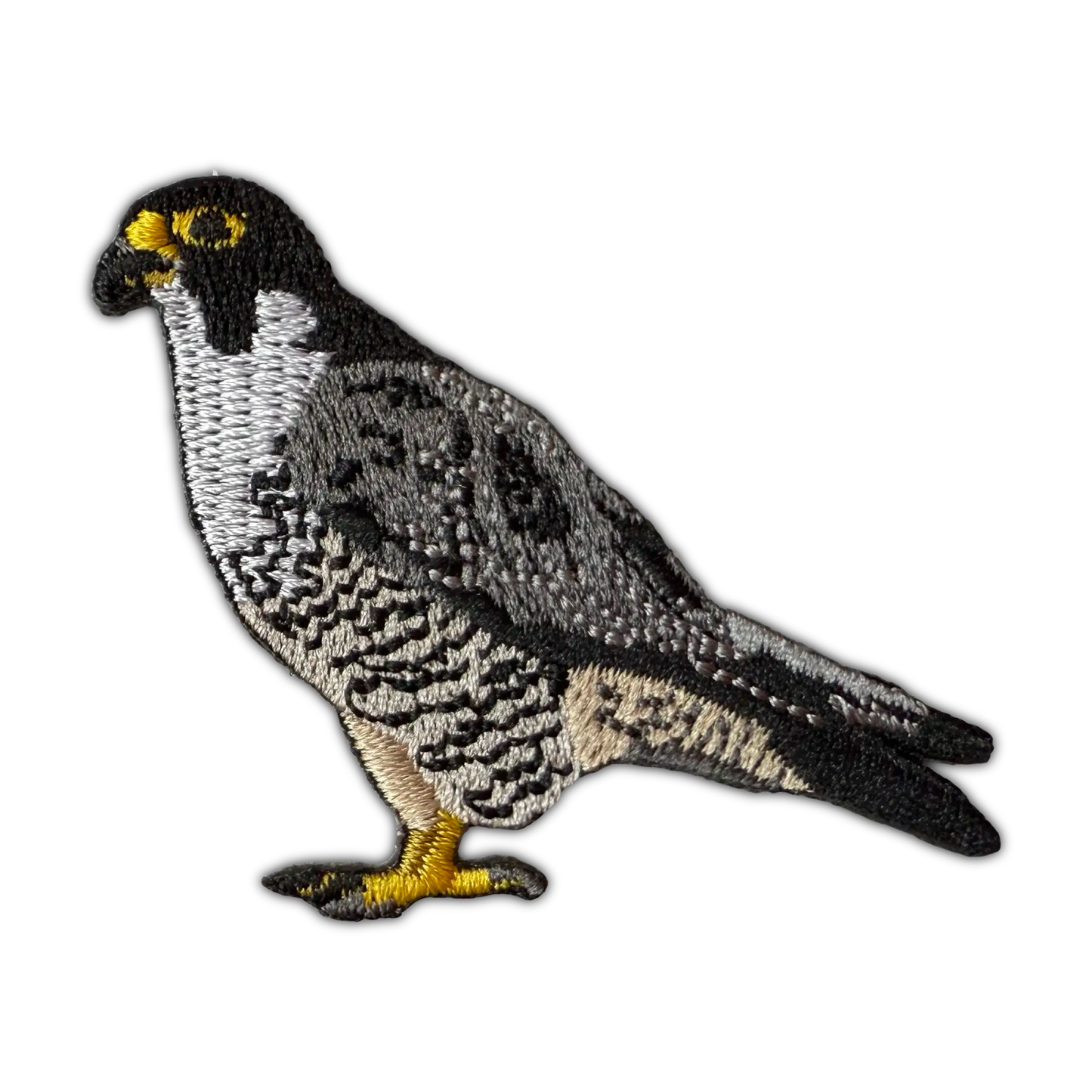 Bird Patch - Peregrine Falcon (#78 of collection)