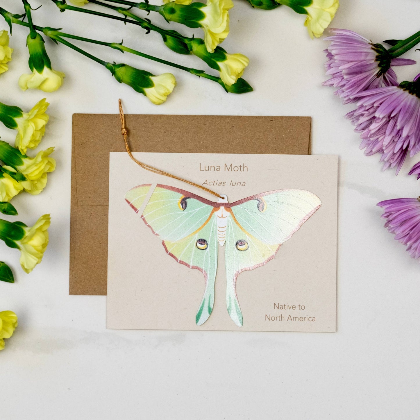 Greeting Card  - Luna Moth Ornament + Notecard