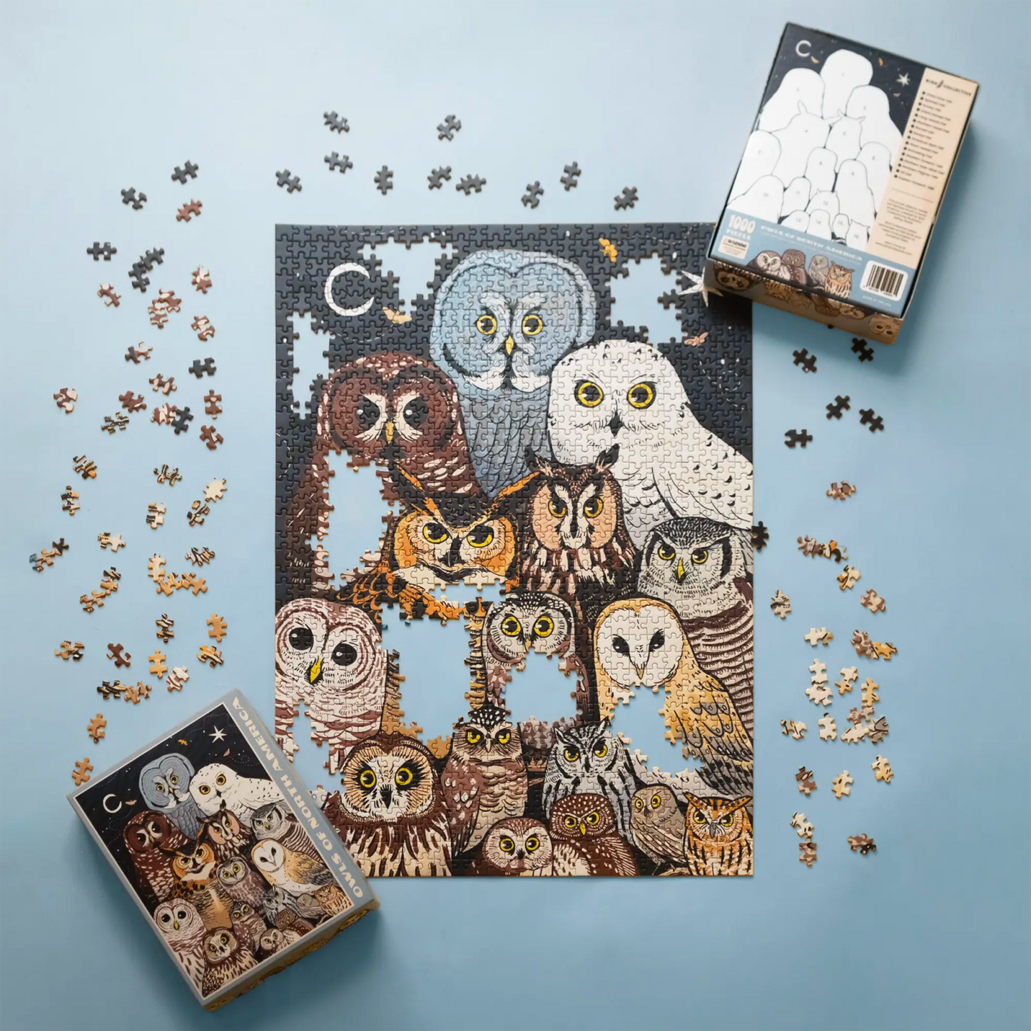 Puzzle - Owls of North America (1000 Pieces)