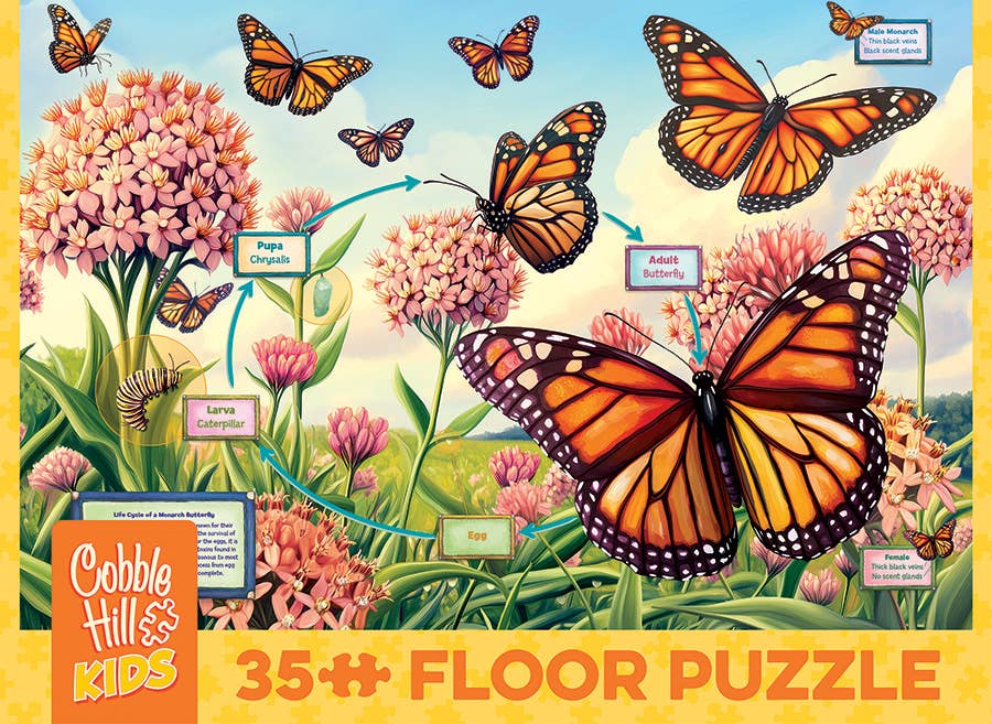 Puzzle - Life Cycle of a Monarch (35-Piece Floor Puzzle)