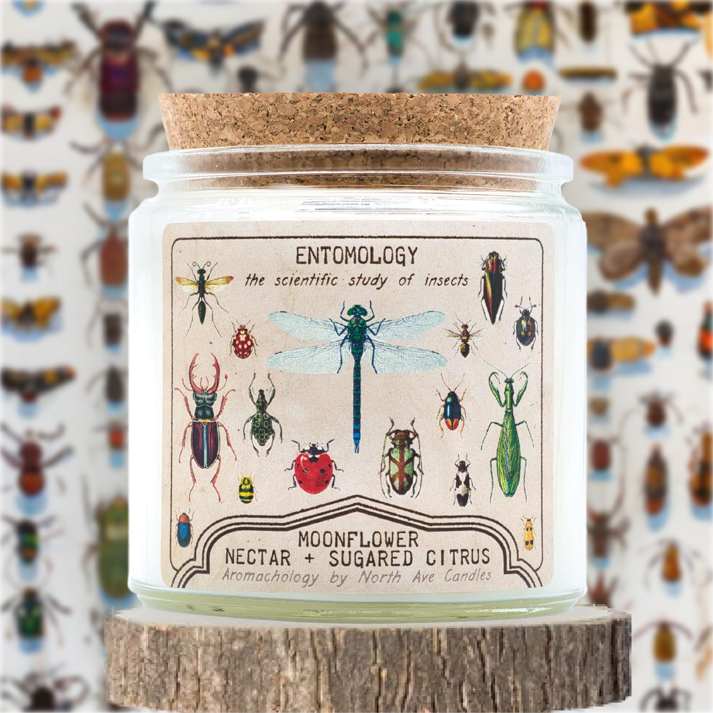 Candle - Aromachology / Bugs / Entomology (Moonflower Nectar and Sugared Citrus)