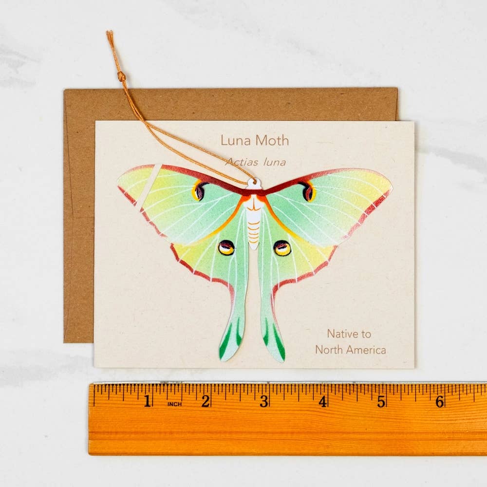 Greeting Card  - Luna Moth Ornament + Notecard