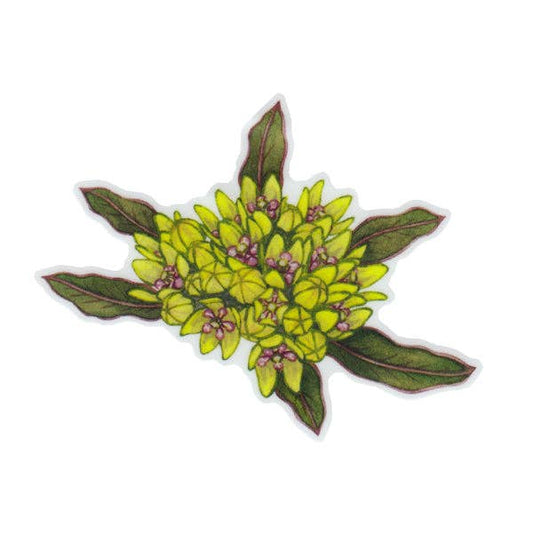 Sticker - Green Antelopehorn Milkweed