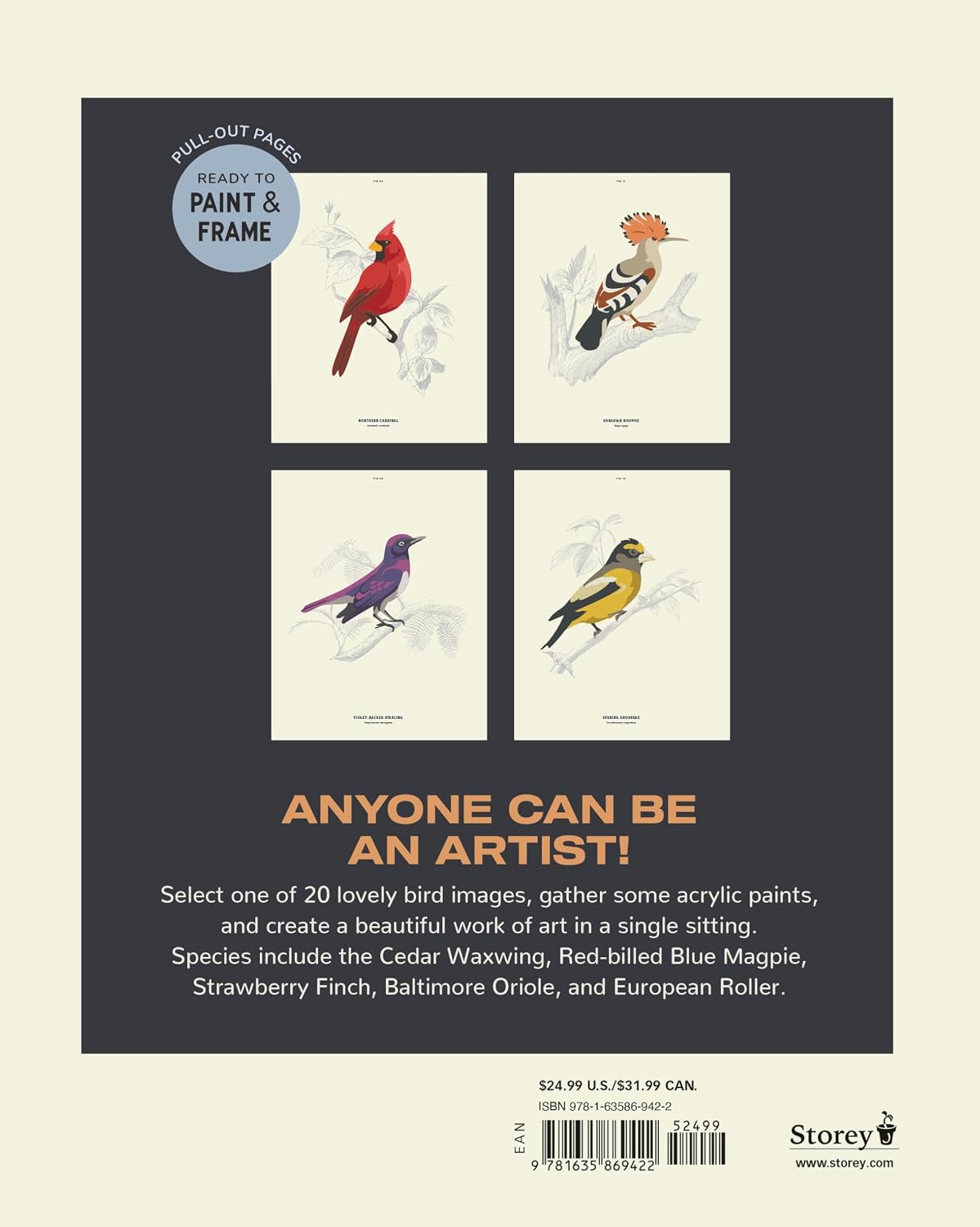 Book - Coloready Birds: 20 Modern Paint-by-Number Prints by David Trawin and A. K. Roxas (Paperback)