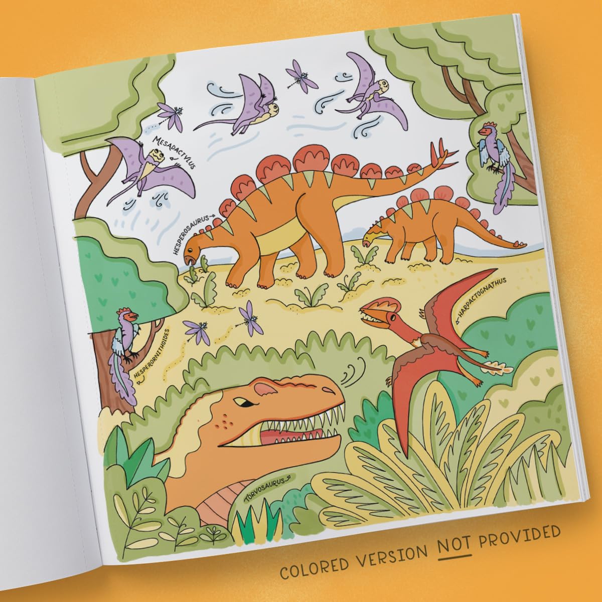 Book - Dinosaurs: Exploring Prehistoric Life Coloring Book: 40 Drawings to Color by Rachel Ignotofsky (Paperback)