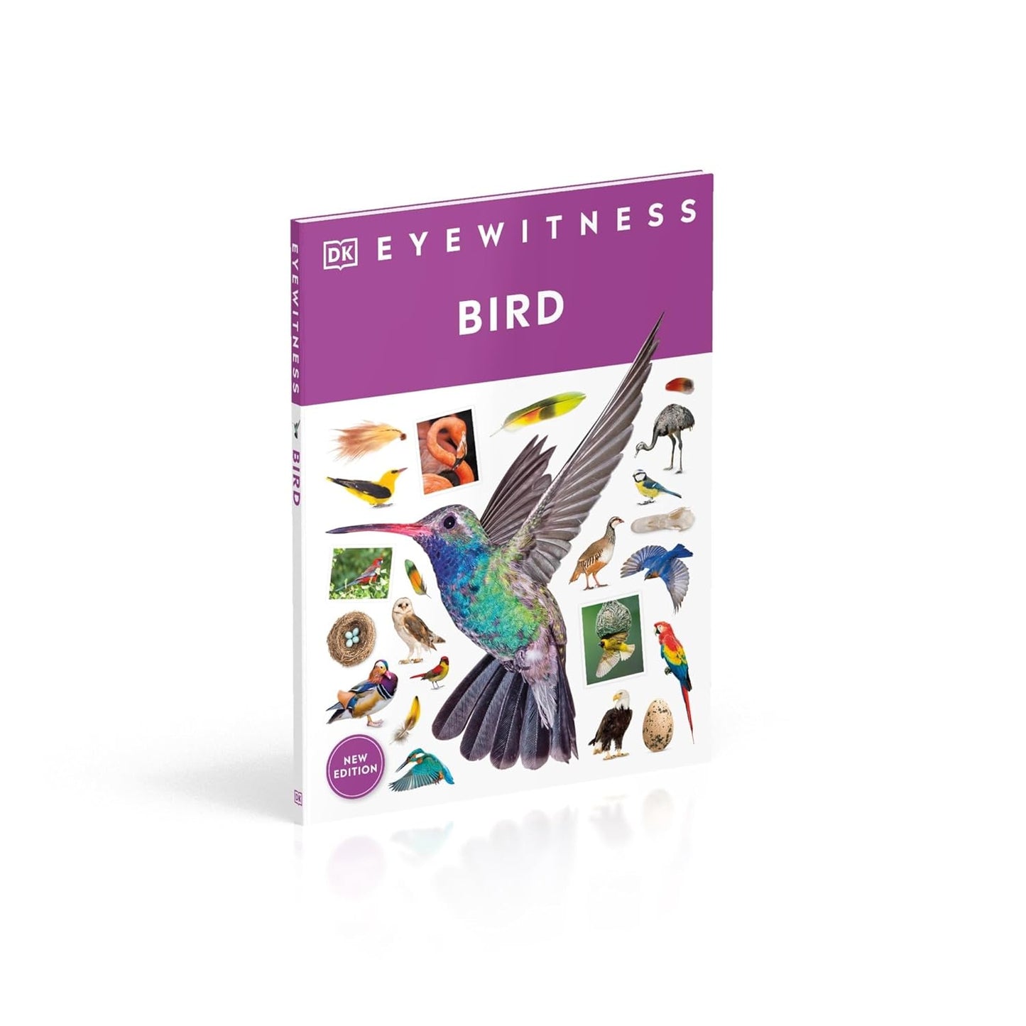 Book - Eyewitness Bird by DK Children (Hardback)