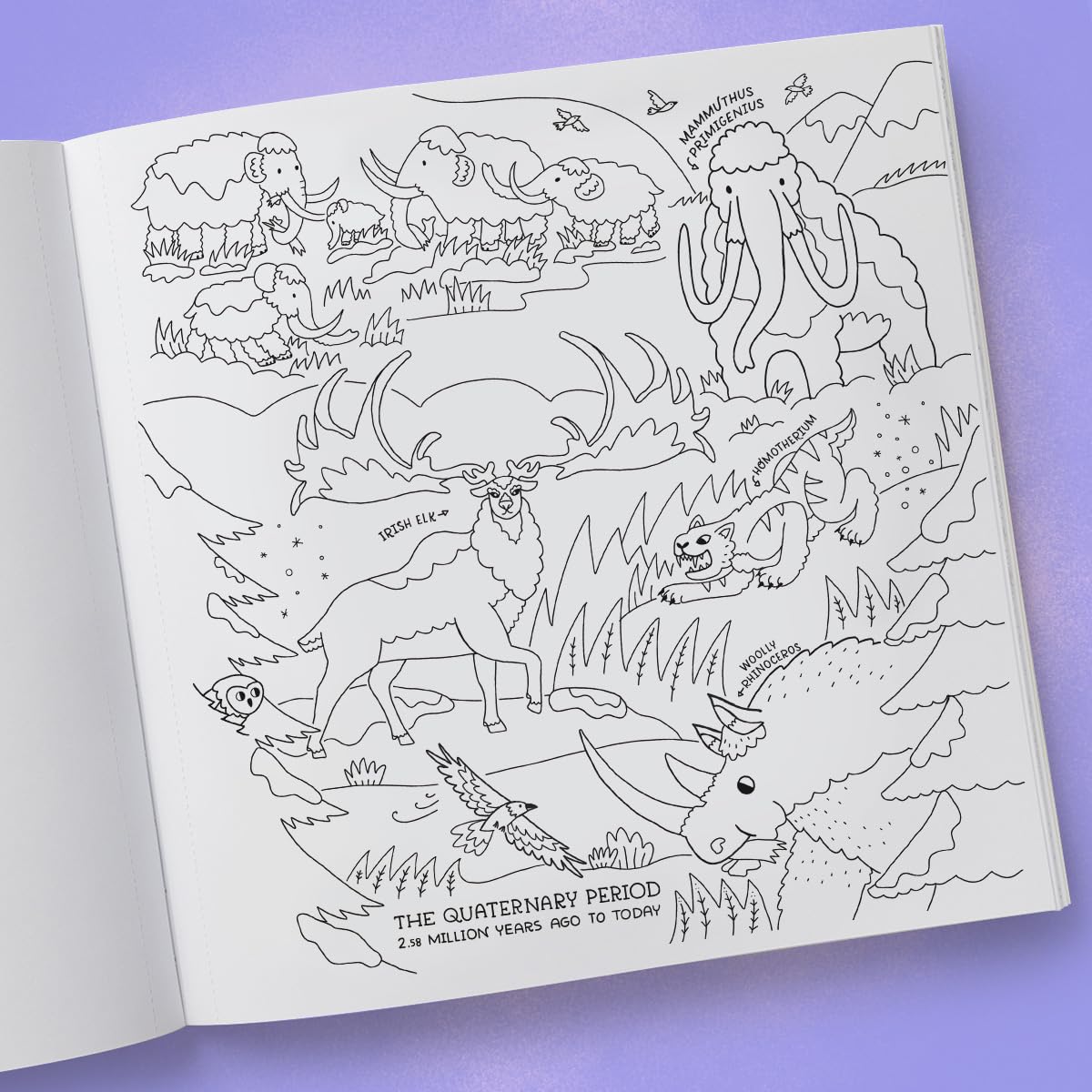 Book - Dinosaurs: Exploring Prehistoric Life Coloring Book: 40 Drawings to Color by Rachel Ignotofsky (Paperback)