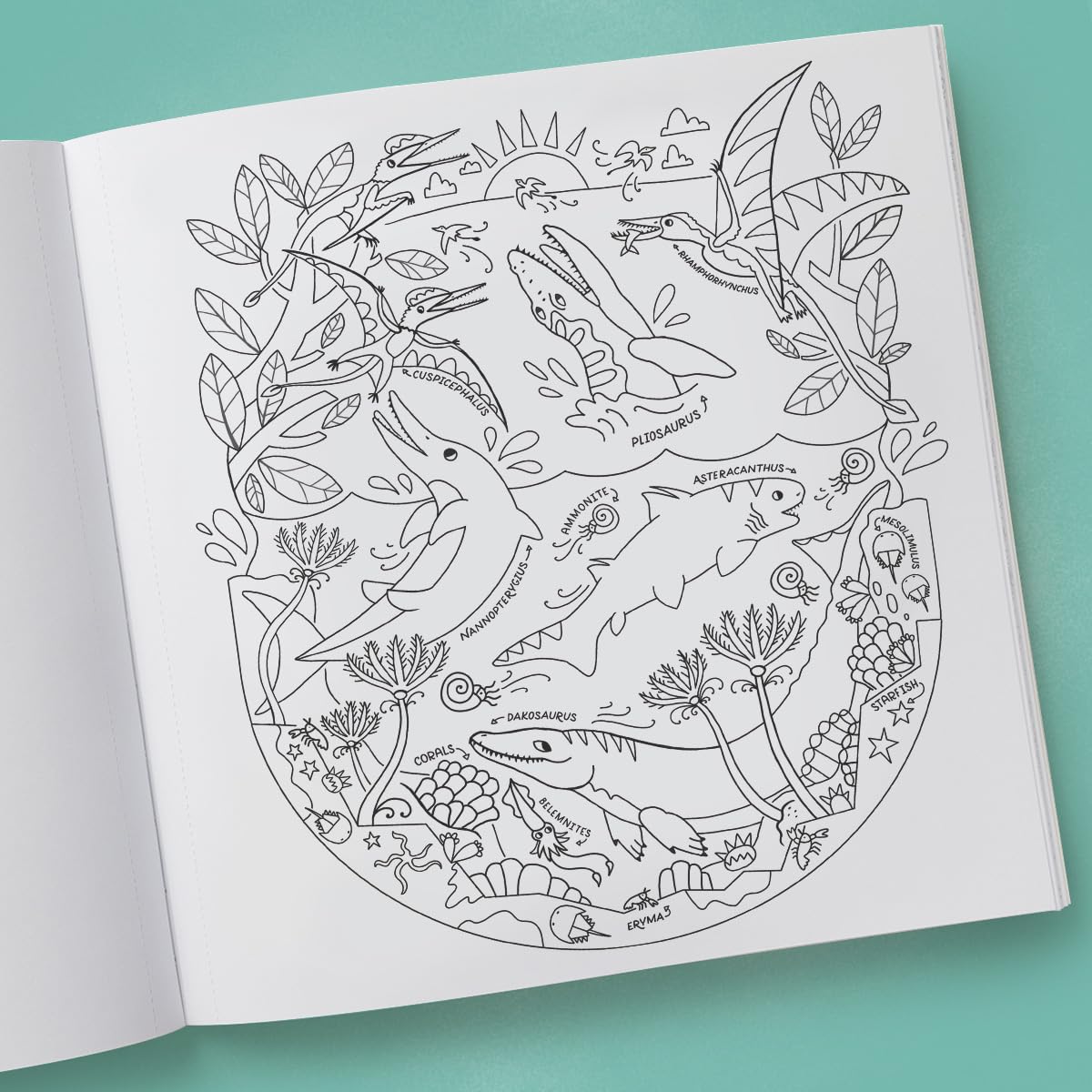 Book - Dinosaurs: Exploring Prehistoric Life Coloring Book: 40 Drawings to Color by Rachel Ignotofsky (Paperback)