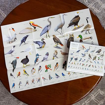 Puzzle - Sibley Backyard Birding Puzzle: 1000-Piece Jigsaw Puzzle with Portraits of Favorite North American Birds : Jigsaw Puzzles for Adults (1000 pieces)