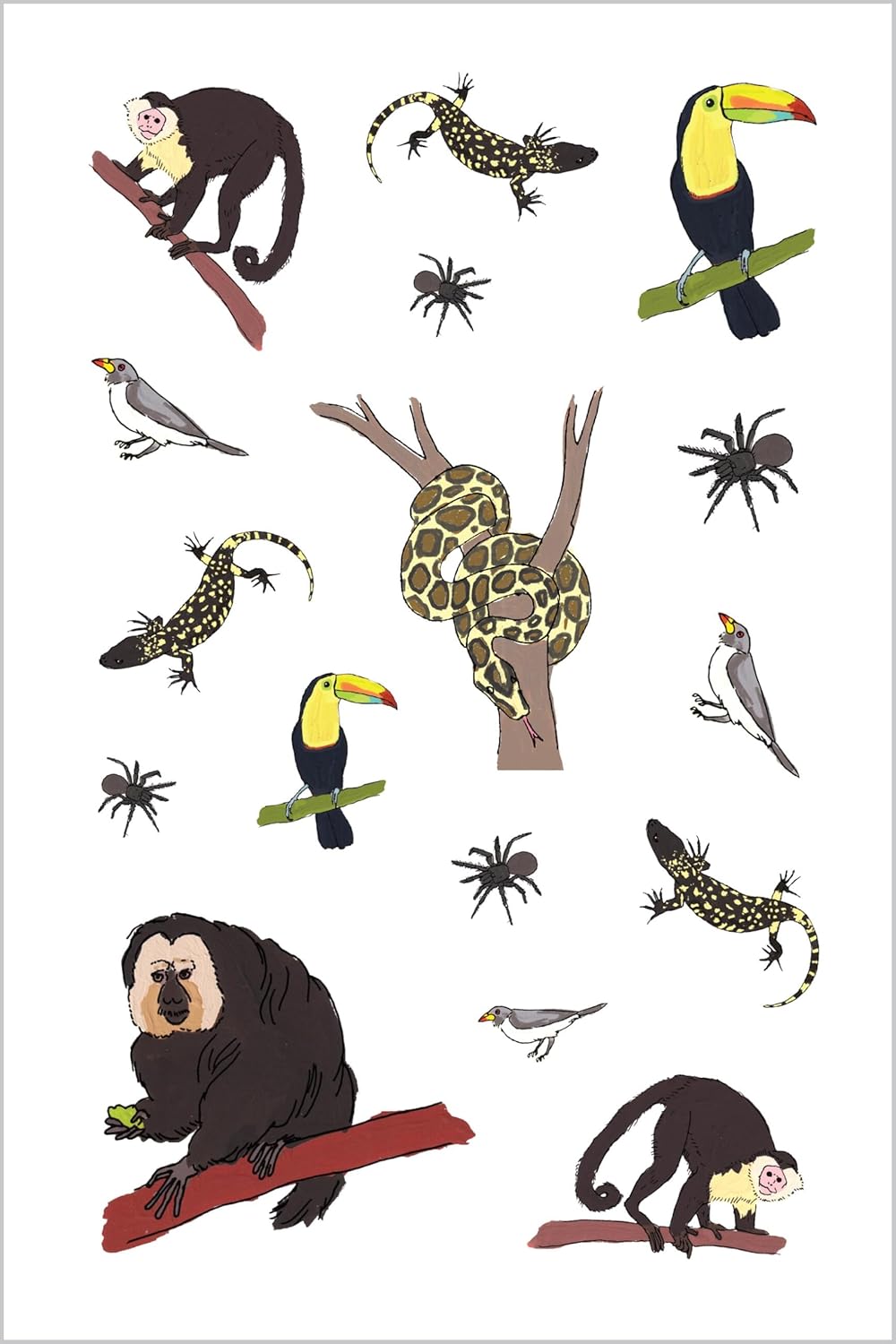 Book - Wildlife Anatomy Sticker Book: A Julia Rothman Creation: More than 500 Stickers (Paperback/Sticker Book)