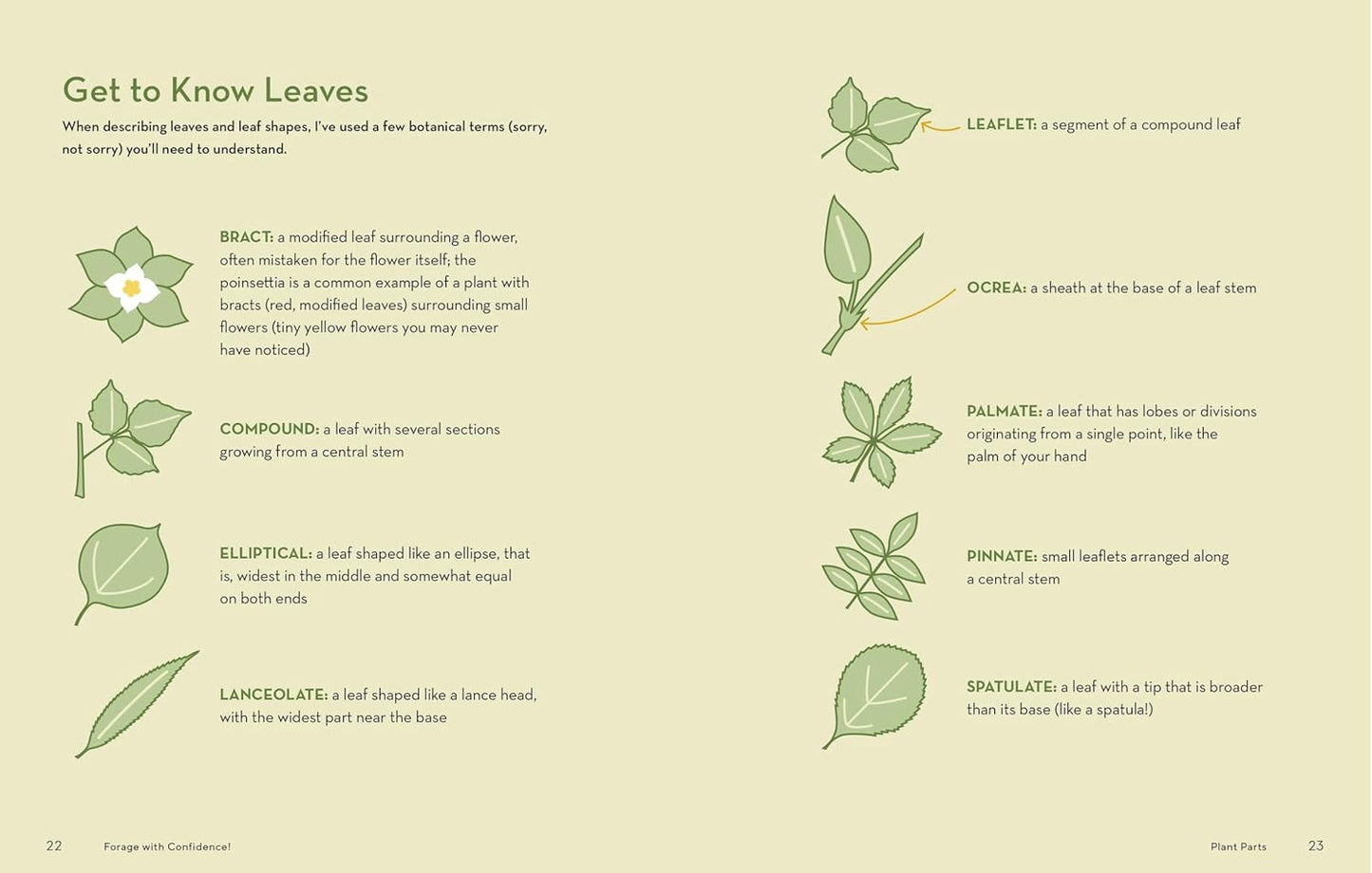 Book - How to Forage for Wild Foods without Dying: An Absolute Beginner's Guide to Identifying 40 Edible Wild Plants by Ellen Zachos (Paperback)