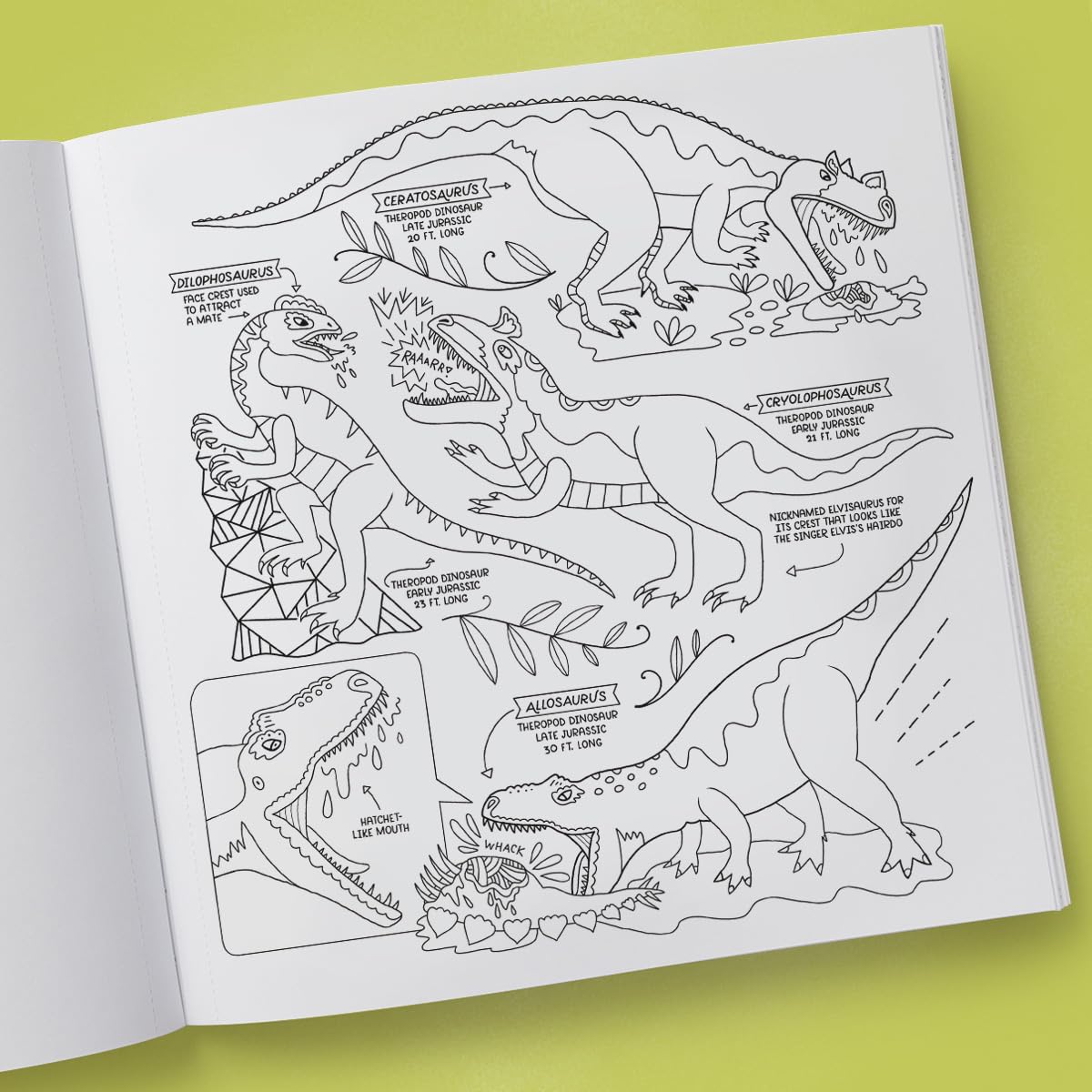 Book - Dinosaurs: Exploring Prehistoric Life Coloring Book: 40 Drawings to Color by Rachel Ignotofsky (Paperback)