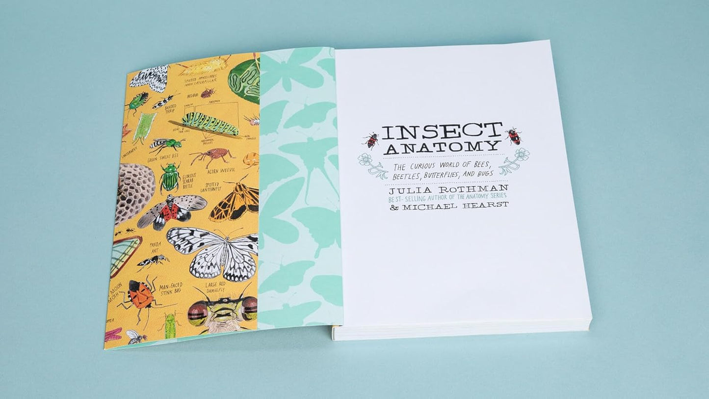 Book - Insect Anatomy: The Curious World of Bees, Beetles, Butterflies, and Bugs by Julia Rothman (Paperback)