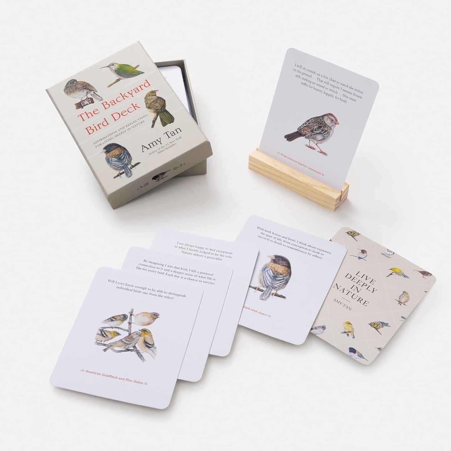 The Backyard Bird Deck: Affirmations and Reflections for Living Deeply in Nature: Affirmation Cards by Amy Tan