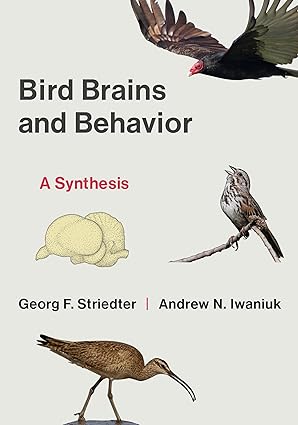 Book - Bird Brains and Behavior by Georg F. Striedter and Andrew N. Iwaniuk (Paperback)