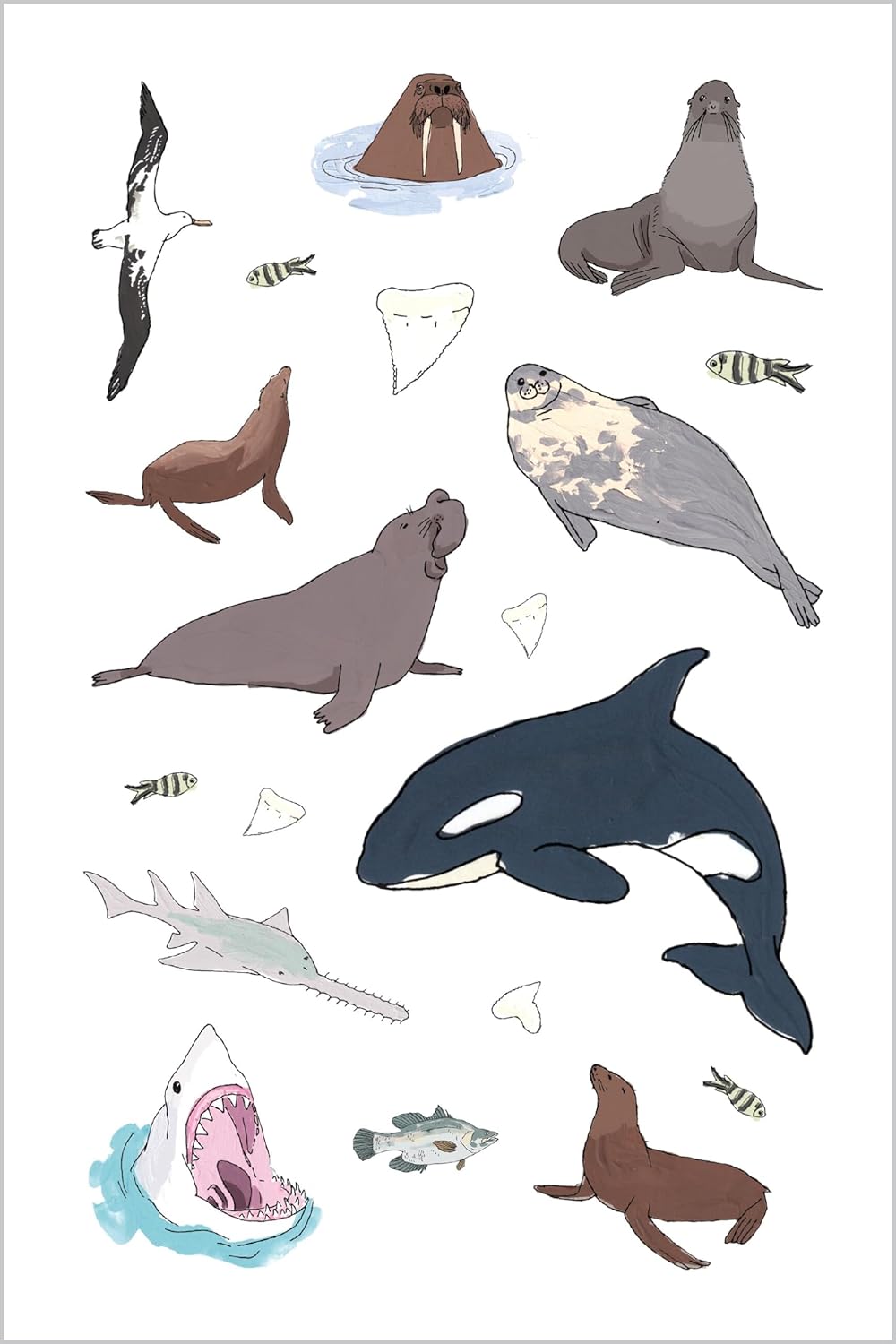 Book - Wildlife Anatomy Sticker Book: A Julia Rothman Creation: More than 500 Stickers (Paperback/Sticker Book)