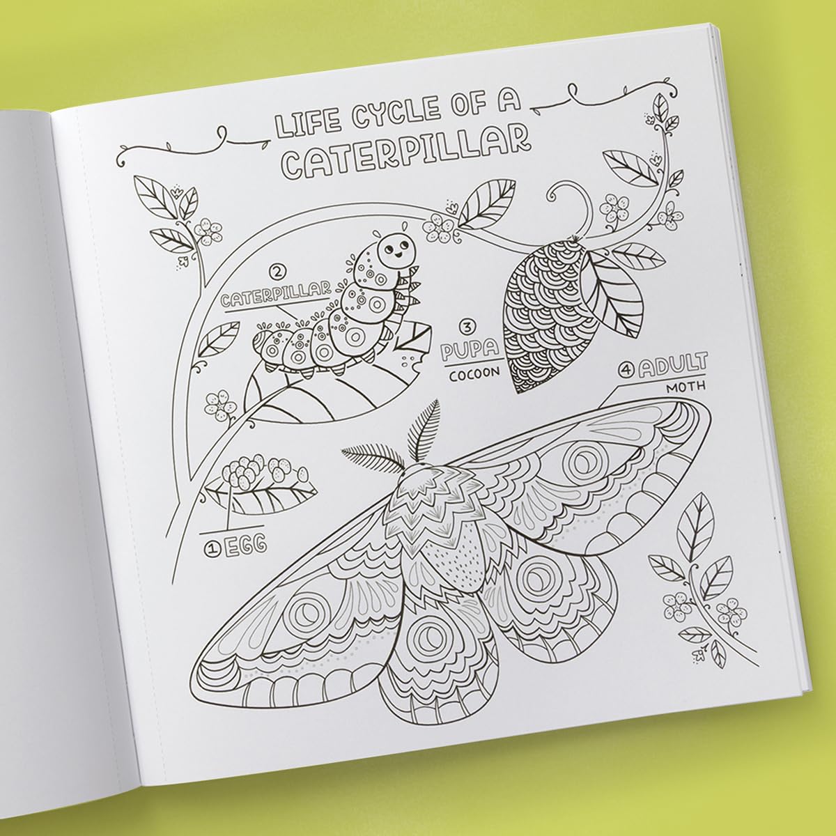 Book - What's Inside a Garden?: Science and Nature Coloring Book: 40 Drawings to Color by Rachel Ignotofsky (Paperback)