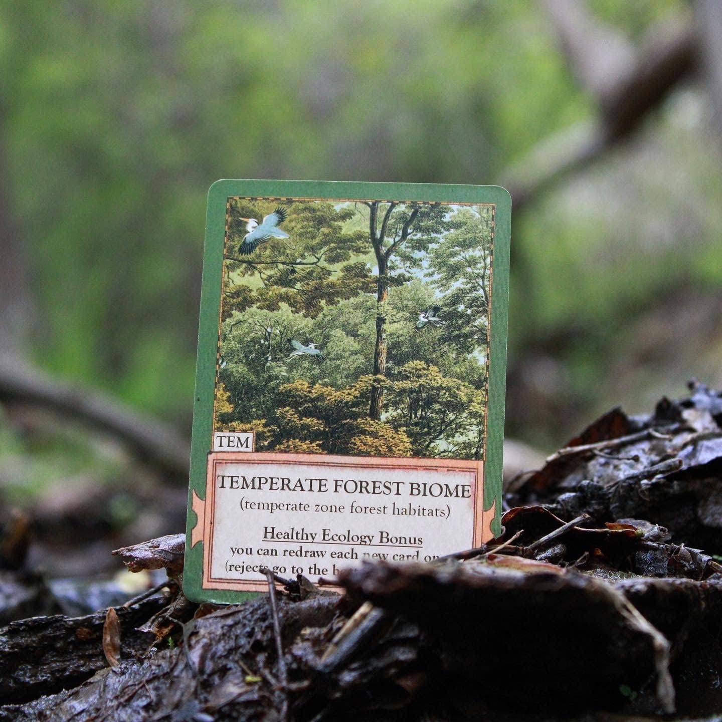 Games - Ecologies Card Game (Main Pack)