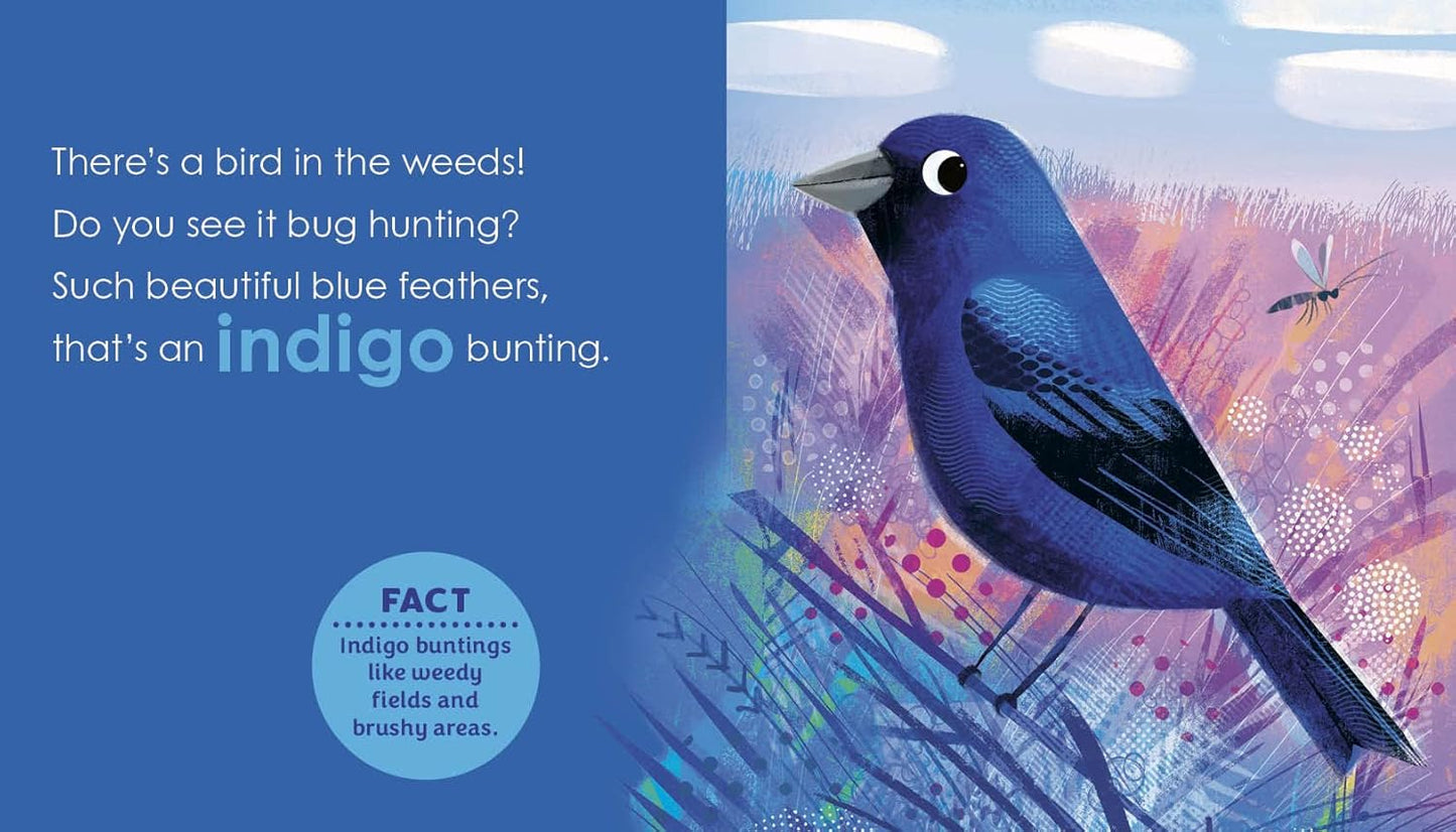 Book - Birding for Babies: Migrating Birds: A Colors Book by Chloe Goodhart (Board Book)