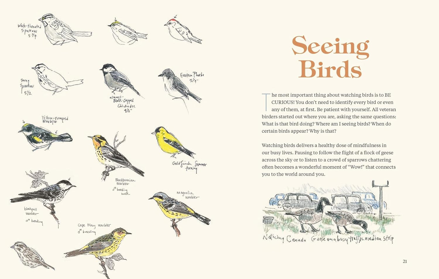 Book - How to Look at a Bird: Open Your Eyes to the Joy of Watching and Knowing Birds by Clare Walker Leslie (Paperback)