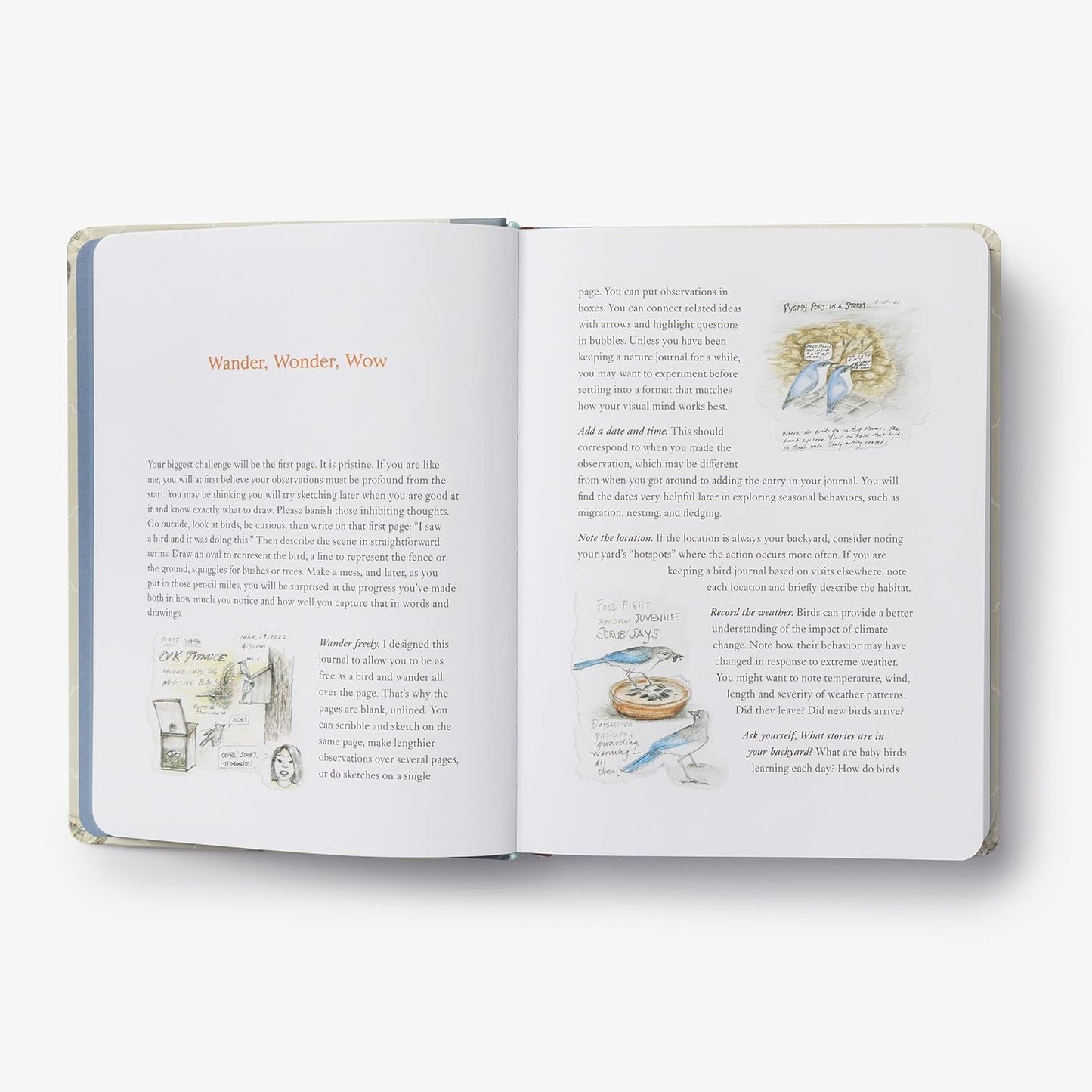 Book - The Backyard Bird Journal: Pages for Writing, Sketching, and Living Deeply in Nature by Amy Tan (Hardback) (Copy)