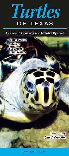 Folding Guide - Turtles of Texas: A Guide to Common and Notable Species