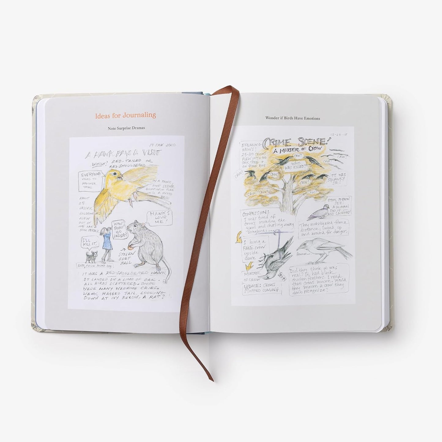 Book - The Backyard Bird Journal: Pages for Writing, Sketching, and Living Deeply in Nature by Amy Tan (Hardback) (Copy)