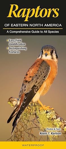 Wfc Guide Raptor Folding Guide - Raptors of Eastern North America: A Comprehensive Guid ...