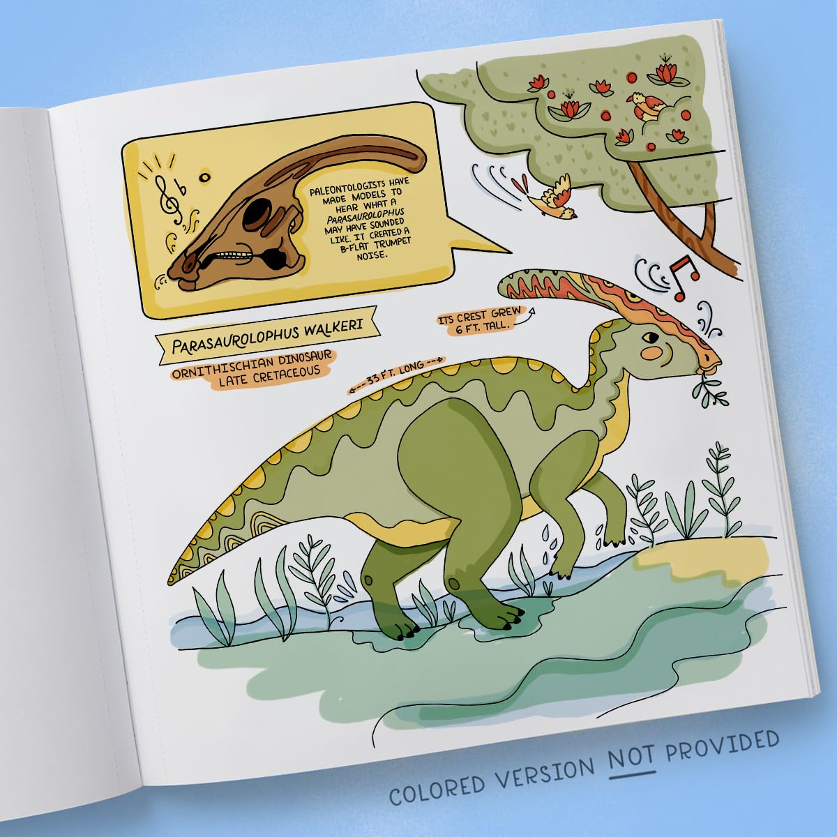 Book - Dinosaurs: Exploring Prehistoric Life Coloring Book: 40 Drawings to Color by Rachel Ignotofsky (Paperback)