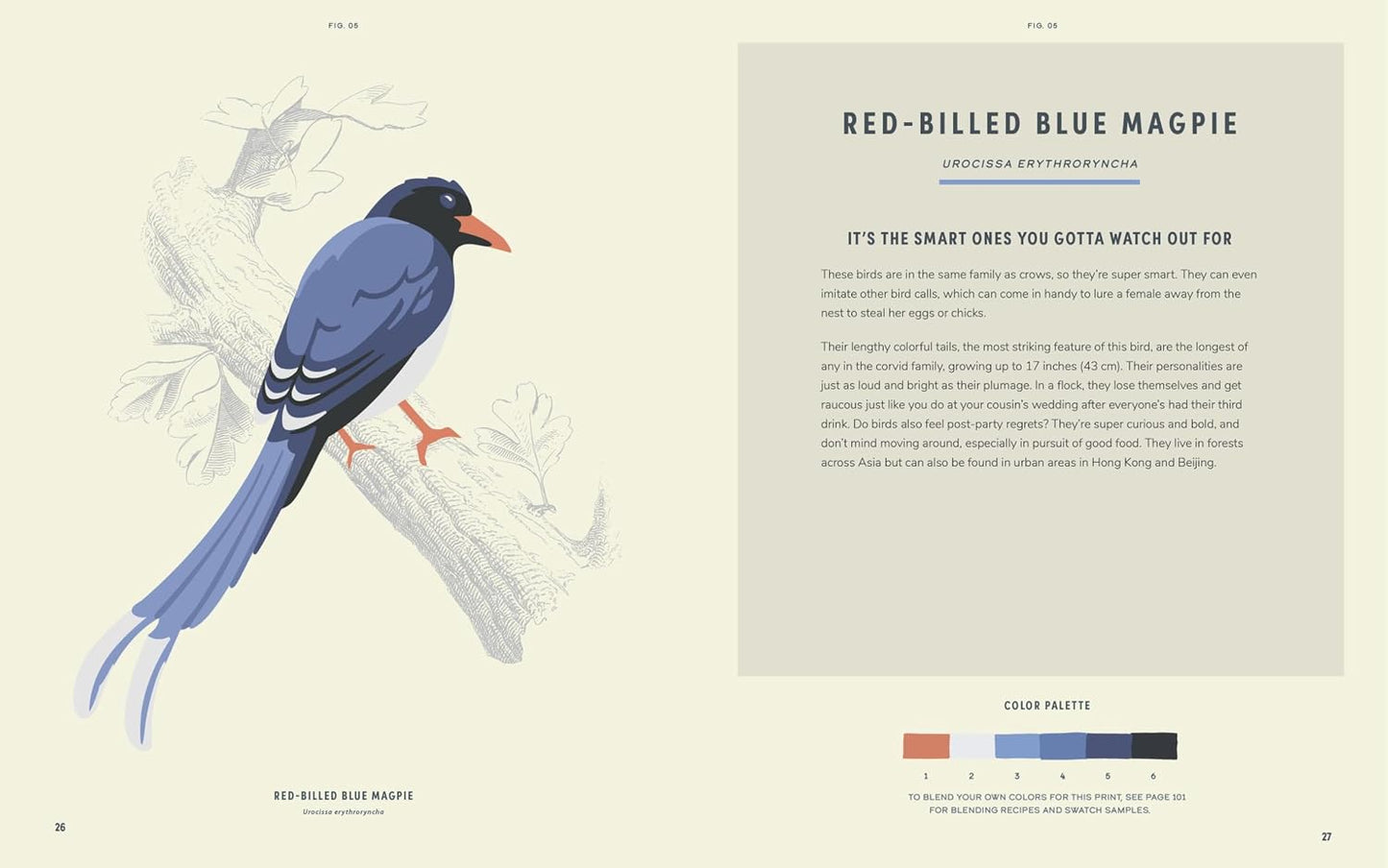Book - Coloready Birds: 20 Modern Paint-by-Number Prints by David Trawin and A. K. Roxas (Paperback)