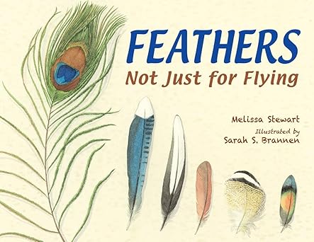 Book - Feathers: Not Just for Flying by Melissa Stewart (Paperback)