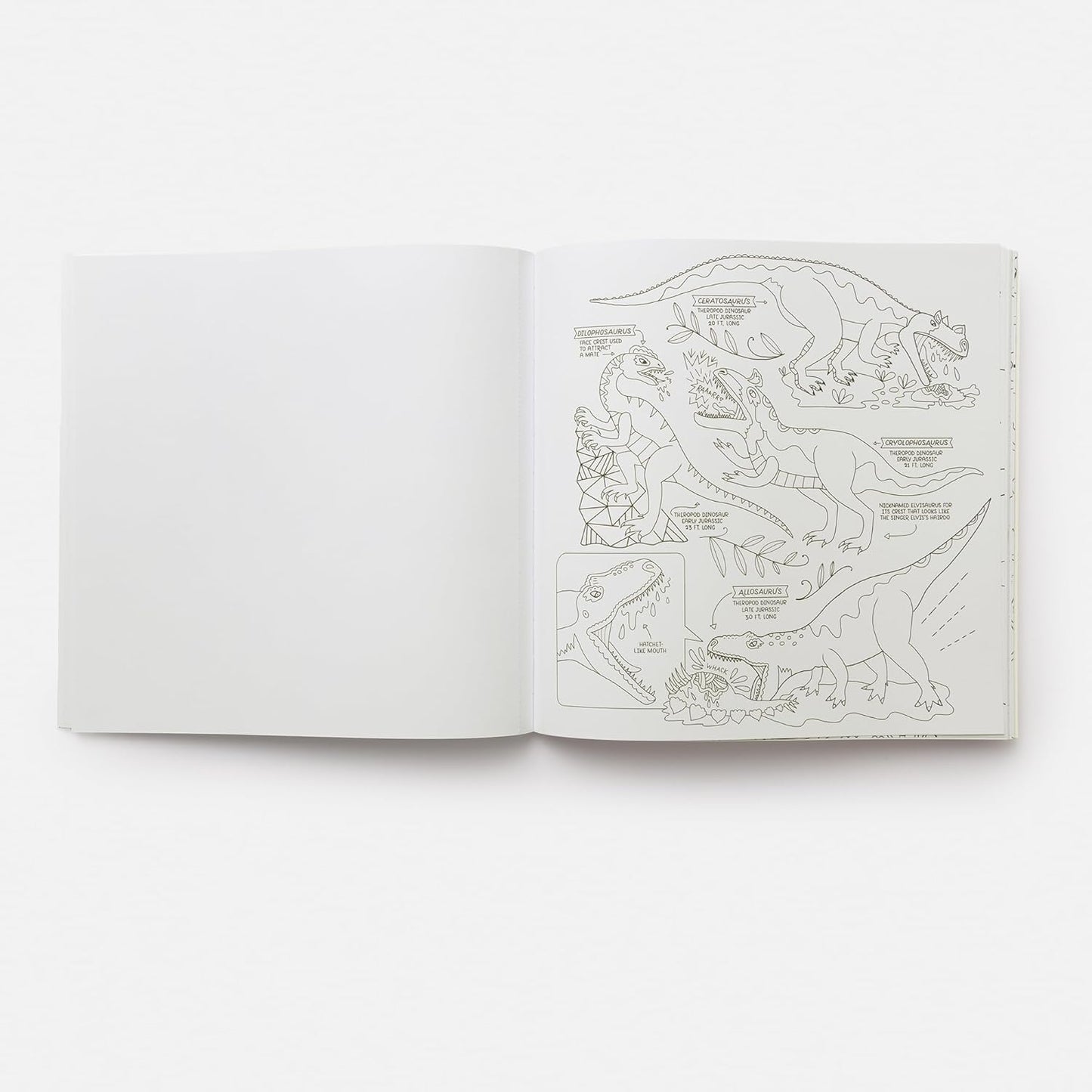 Book - Dinosaurs: Exploring Prehistoric Life Coloring Book: 40 Drawings to Color by Rachel Ignotofsky (Paperback)