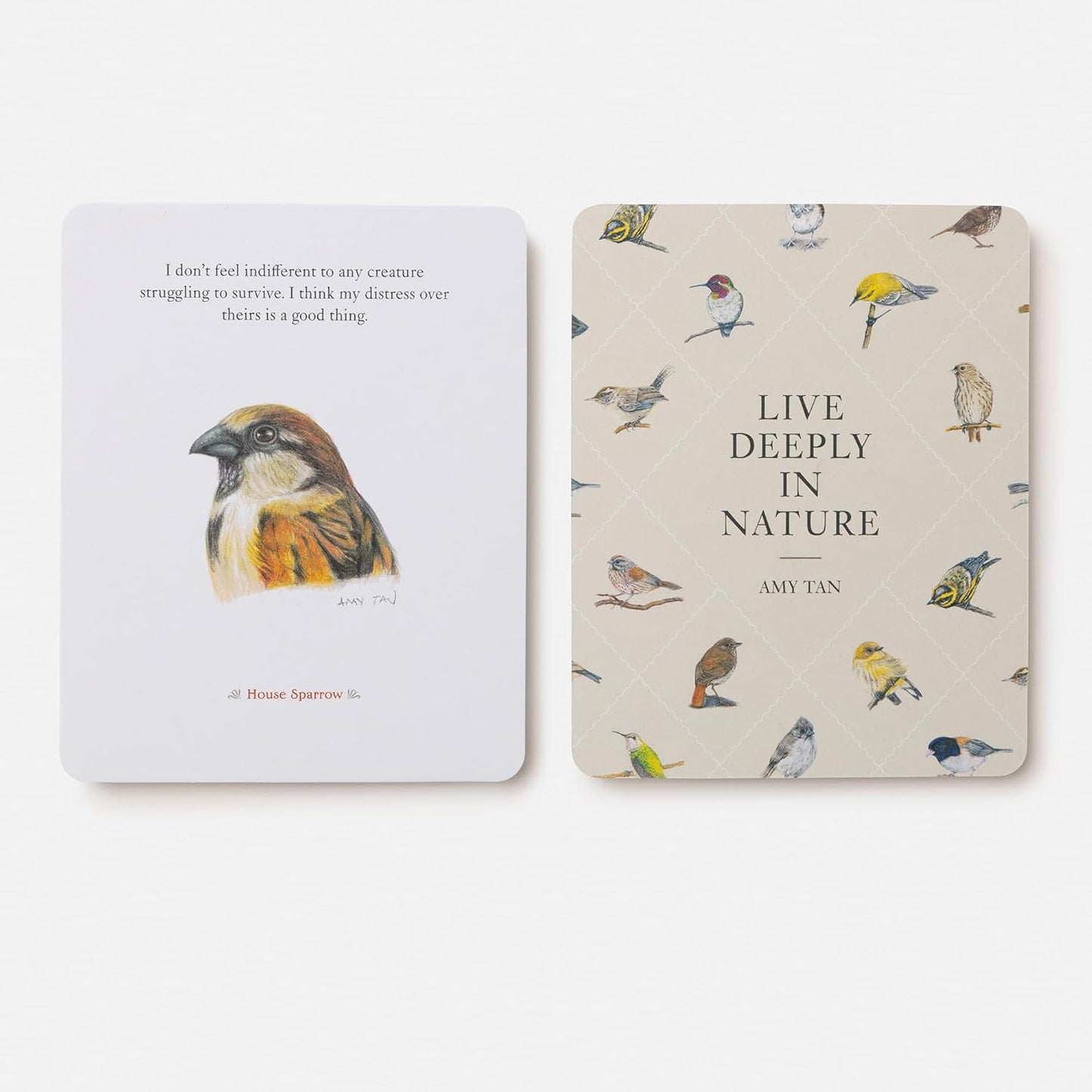The Backyard Bird Deck: Affirmations and Reflections for Living Deeply in Nature: Affirmation Cards by Amy Tan