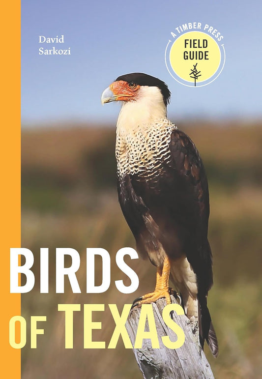 Book - Birds of Texas: A Timber Press Field Guide by David Sarkozi (Flexibound)