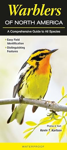 Folding Guide - Warblers of North America: A Comprehensive Guide to All Species