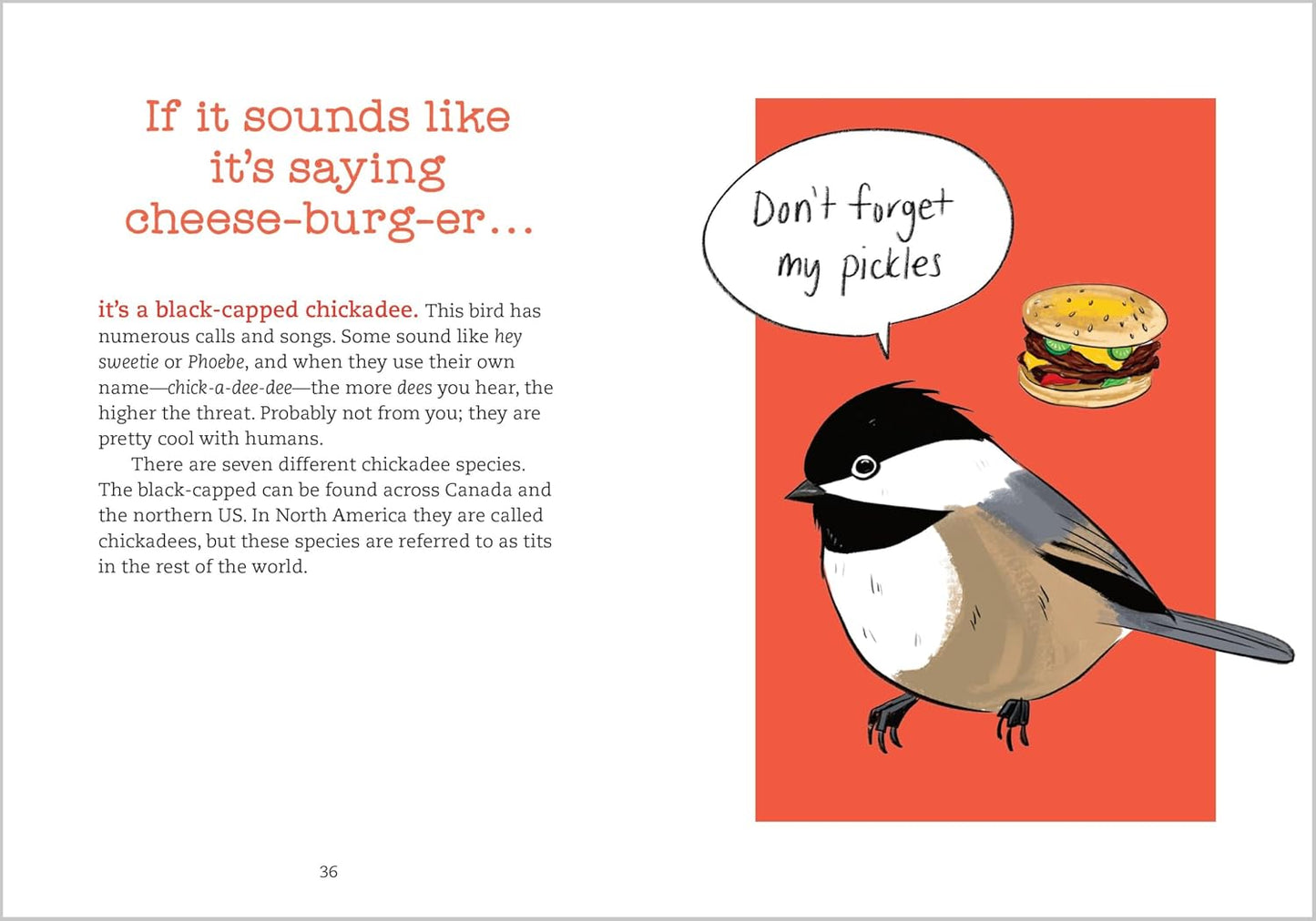Book - Bird Talk: Hilariously Accurate Ways to Identify Birds by the Sounds They Make by Becca Rowland (Paperback)