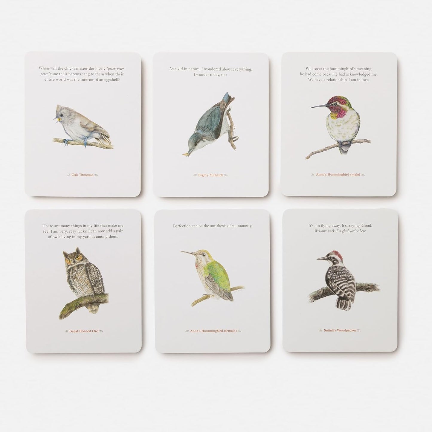 The Backyard Bird Deck: Affirmations and Reflections for Living Deeply in Nature: Affirmation Cards by Amy Tan