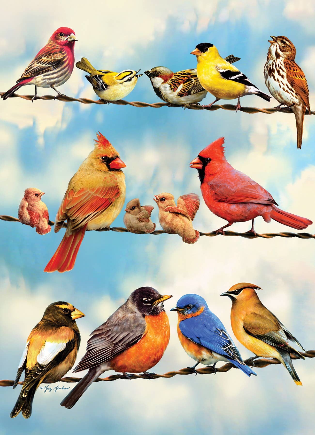 Puzzle - Birds on a Wire (500-Piece)