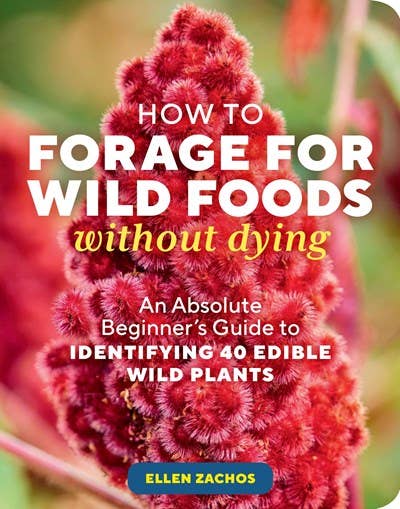 Book - How to Forage for Wild Foods without Dying: An Absolute Beginner's Guide to Identifying 40 Edible Wild Plants by Ellen Zachos (Paperback)