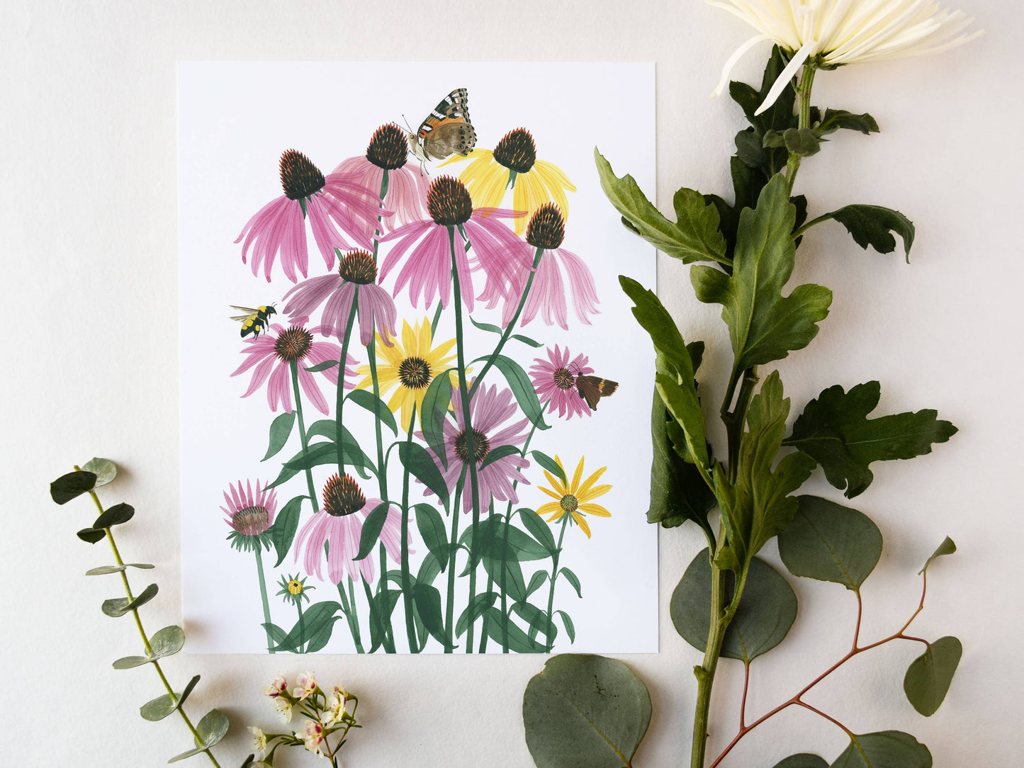 Unframed Art Print - "Coneflowers" by Leana Fischer