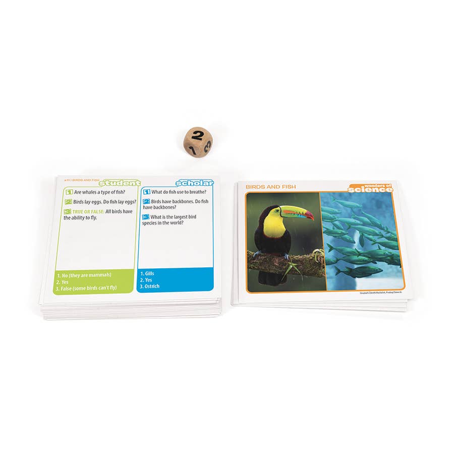 Game - Prof. Noggin Wonders of Science Card Game