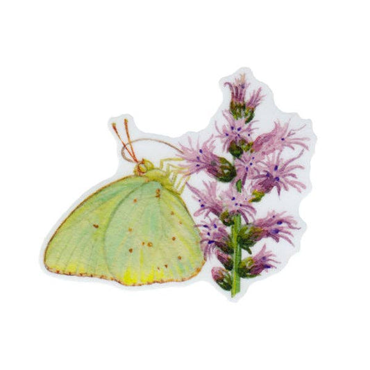 Sticker - Sulphur Butterfly on Blazing Star