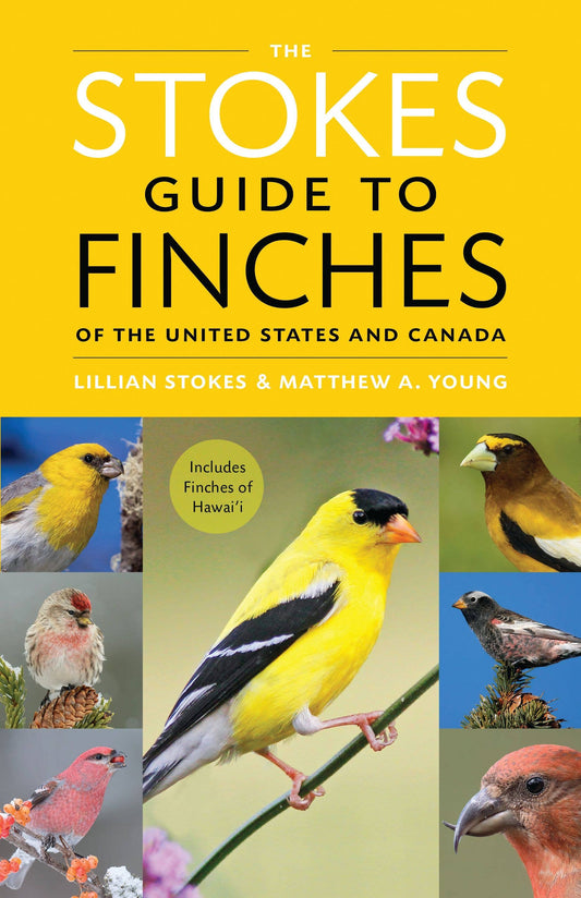 Book - The Stokes Guide to Finches of the United States and Canada by Lillian Stokes & Matthew A. Young (Paperback)