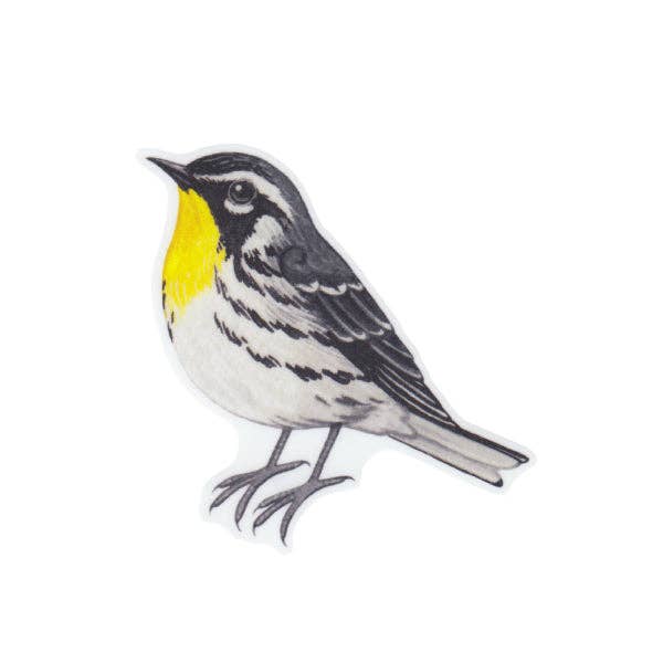 Sticker - Yellow-throated Warbler