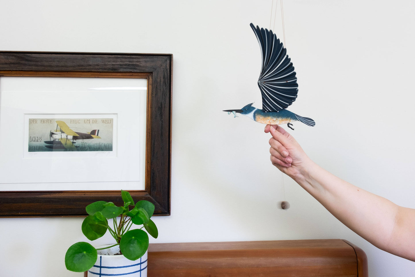 Flying Bird Mobile - Belted Kingfisher