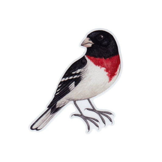 Sticker - Rose-breasted Grosbeak