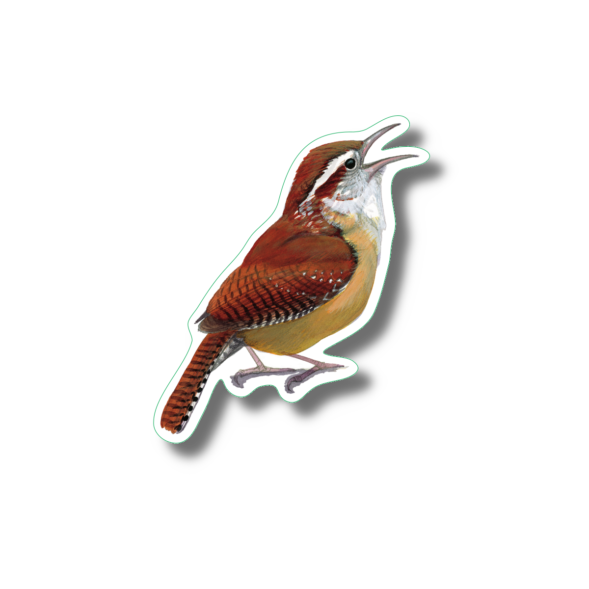 Sticker - Carolina Wren Nature Sticker, 2.5" x 3.5"