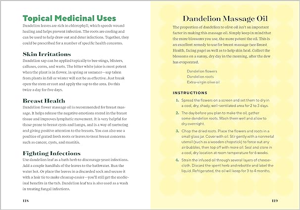 Book - Dandelion Medicine: Forage, Feast, and Nourish Yourself (2nd Edition) by Brigitte Mars (Paperback)